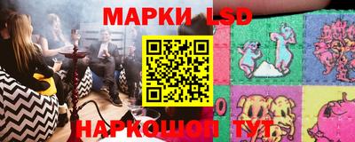 молекула духа Нальчик