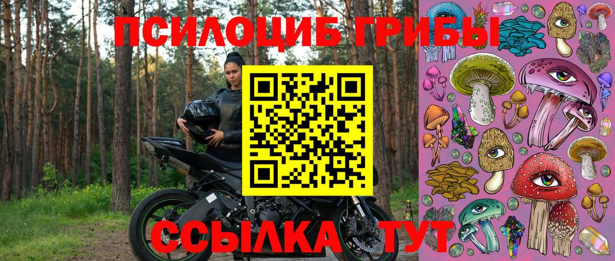 Усть-Джегута  Псилоцибиновые грибы Psilocybine cubensis  Вход с VPN 